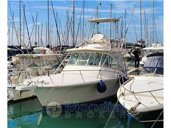 Luhrs - 32 Express tuna