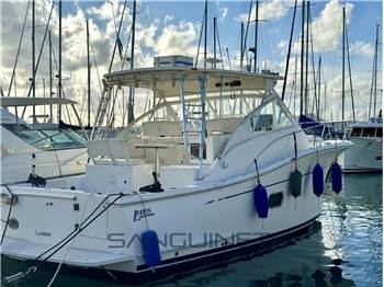 Luhrs - 37 open