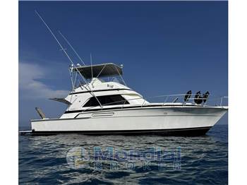 Bertram Yacht - 43' Convertible